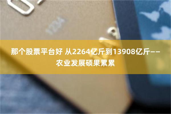 那个股票平台好 从2264亿斤到13908亿斤——农业发展硕果累累