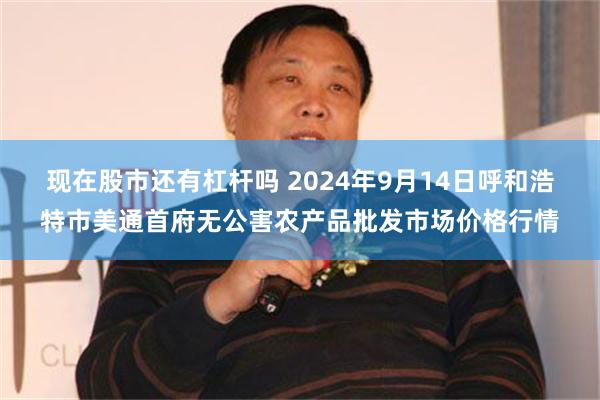 现在股市还有杠杆吗 2024年9月14日呼和浩特市美通首府无公害农产品批发市场价格行情