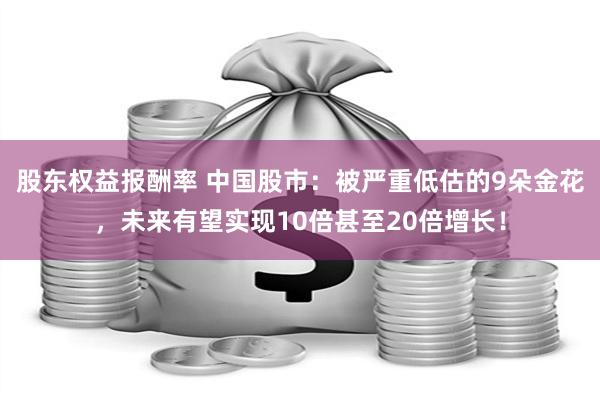 股东权益报酬率 中国股市：被严重低估的9朵金花，未来有望实现10倍甚至20倍增长！