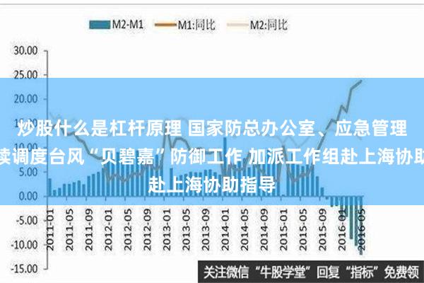 炒股什么是杠杆原理 国家防总办公室、应急管理部持续调度台风“贝碧嘉”防御工作 加派工作组赴上海协助指导