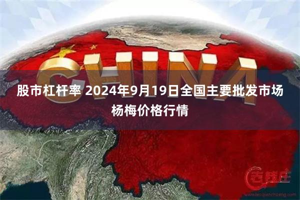 股市杠杆率 2024年9月19日全国主要批发市场杨梅价格行情