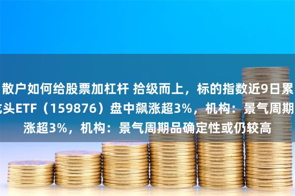 散户如何给股票加杠杆 拾级而上，标的指数近9日累涨超13%！有色龙头ETF（159876）盘中飙涨超3%，机构：景气周期品确定性或仍较高