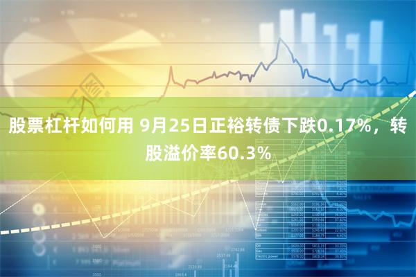 股票杠杆如何用 9月25日正裕转债下跌0.17%，转股溢价率60.3%