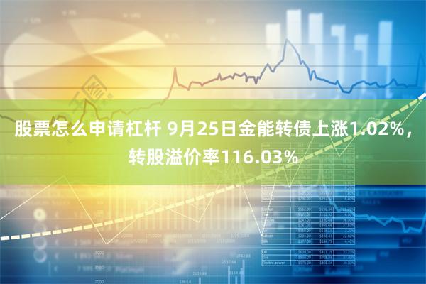 股票怎么申请杠杆 9月25日金能转债上涨1.02%，转股溢价率116.03%