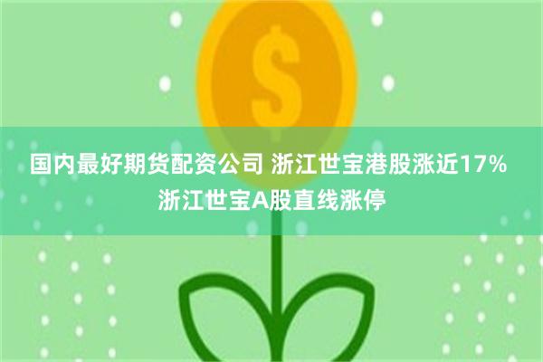 国内最好期货配资公司 浙江世宝港股涨近17% 浙江世宝A股直线涨停