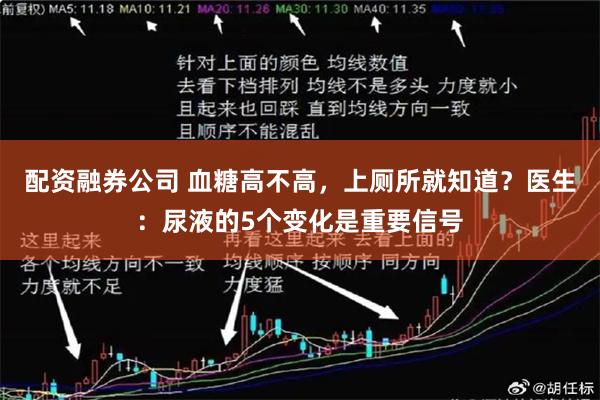 配资融券公司 血糖高不高，上厕所就知道？医生：尿液的5个变化是重要信号