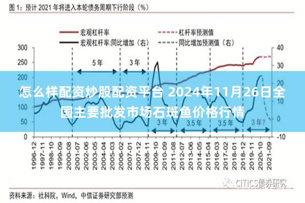 怎么样配资炒股配资平台 2024年11月26日全国主要批发市场石斑鱼价格行情