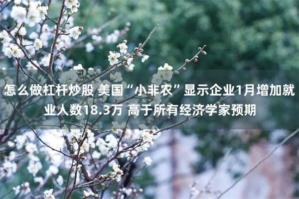 怎么做杠杆炒股 美国“小非农”显示企业1月增加就业人数18.3万 高于所有经济学家预期