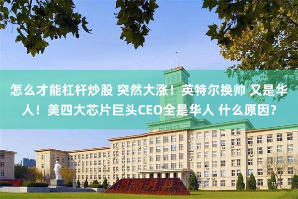 怎么才能杠杆炒股 突然大涨！英特尔换帅 又是华人！美四大芯片巨头CEO全是华人 什么原因？