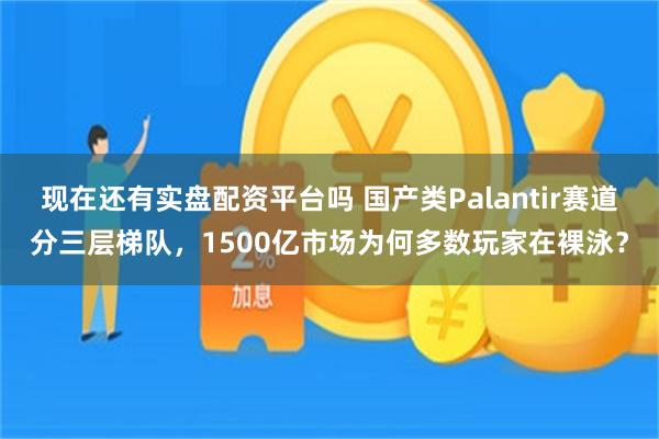 现在还有实盘配资平台吗 国产类Palantir赛道分三层梯队，1500亿市场为何多数玩家在裸泳？